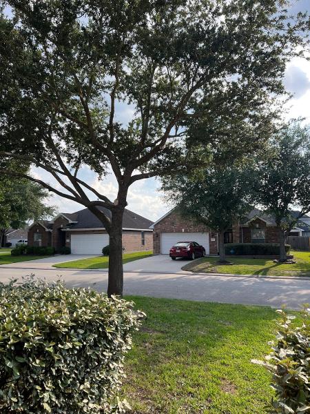 Valerio's Tree Service & More