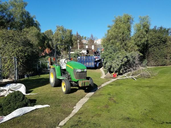 A.L. Vineyard Construction