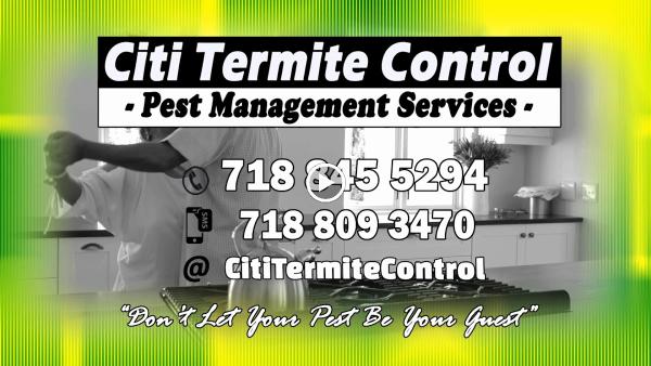 Citi Termite Control Inc