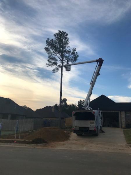 Allied Tree Service