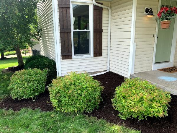 Might Lawn Care