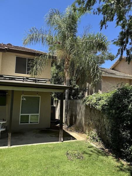 Salas Tree Service