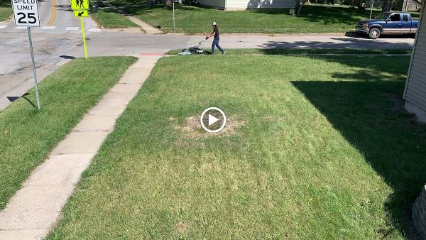 Electric Lawn LLC