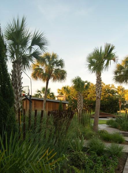 Carolina Landscape Inc