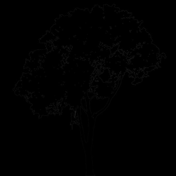 Overgrown Tree Care LLC