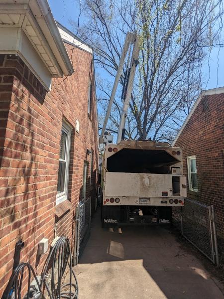 County Tree II LLC