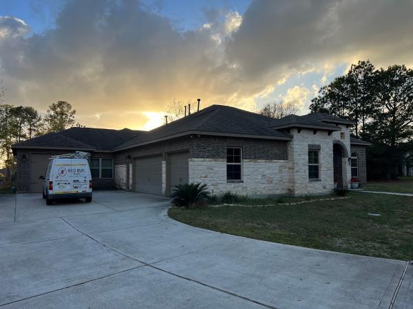 Bed Bug Texas Termite & Pest Control