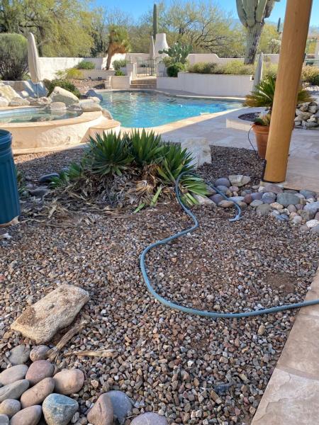 Twisted Palms Irrigation