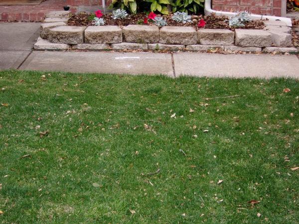 DFW Turfgrass Science LLC