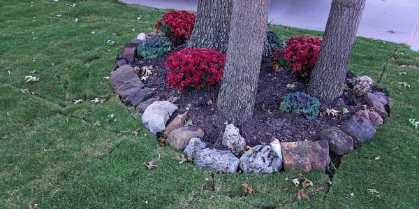 DFW Turfgrass Science LLC