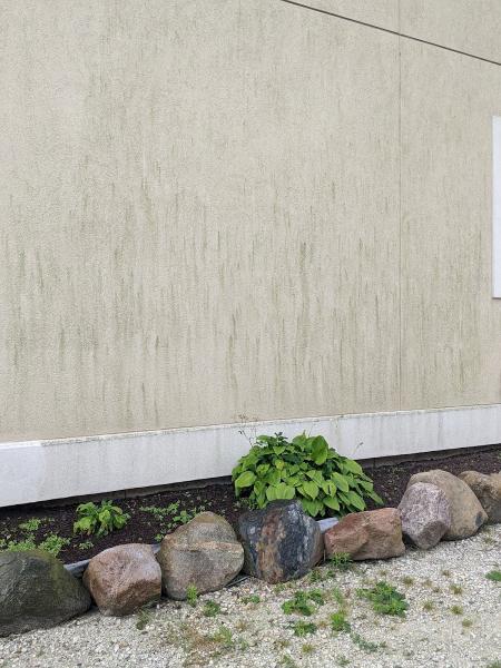 Rise and Shine Exterior Power Washing