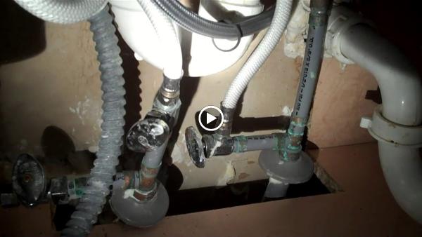 Dana Inspection Services