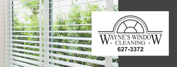 Wayne's Window Cleaning