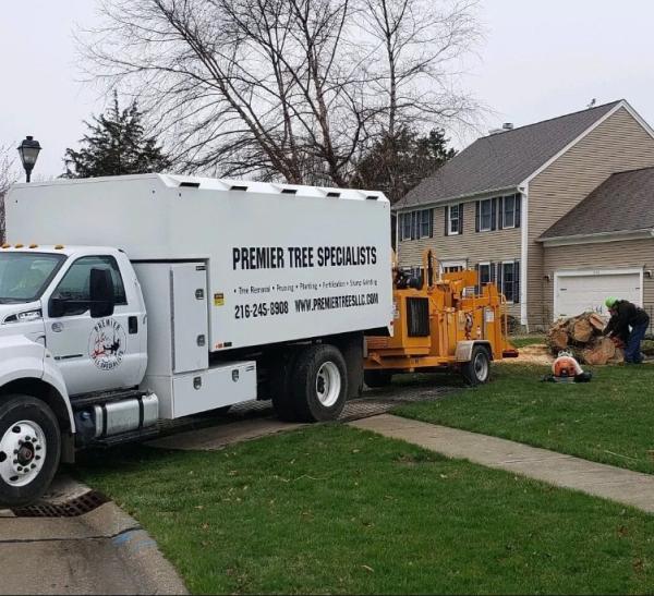 Premier Tree Specialists