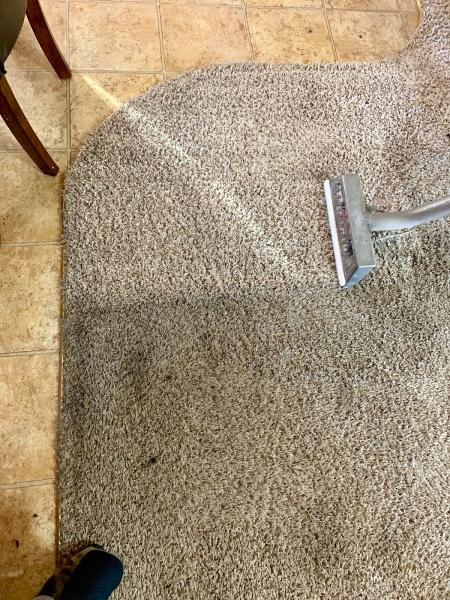 Exceptional Carpet Cleaning