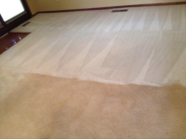 Exceptional Carpet Cleaning