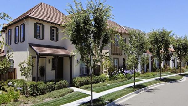 American Property Management