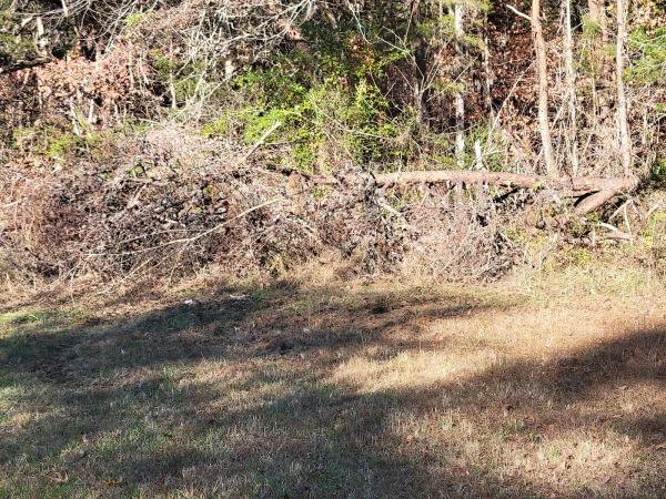 Tims Bush Hog