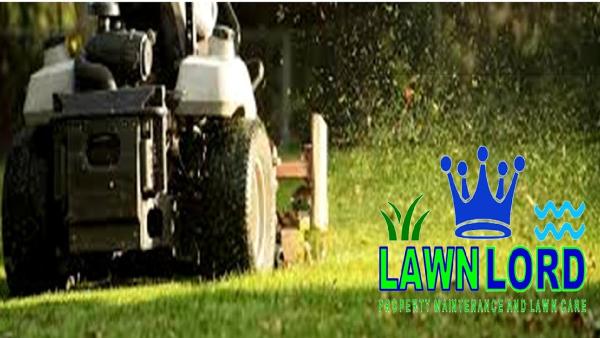 Lawn Lord