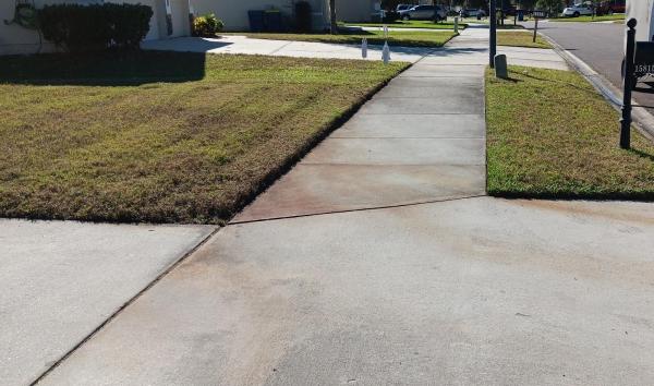 Lawn Lord