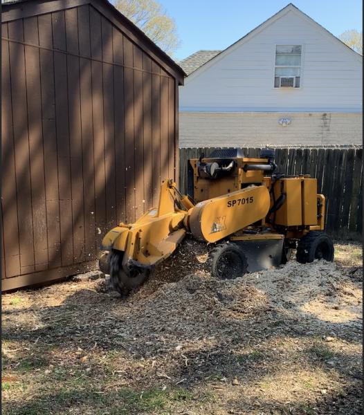 Specialty Tree Service