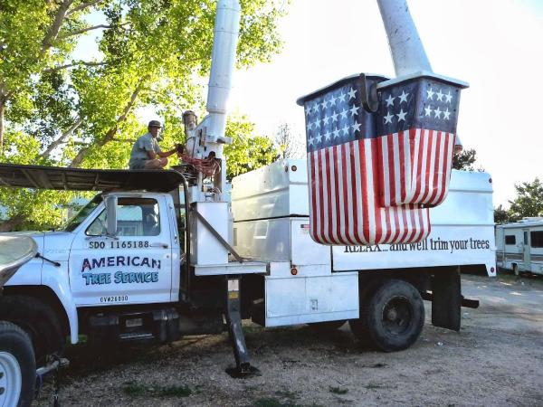 American Tree & Shrub