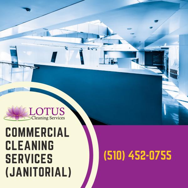 Lotus Cleaning Services