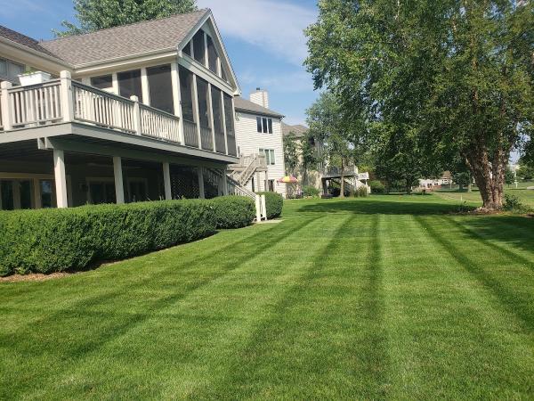 Chepe Landscaping and Snow Removal