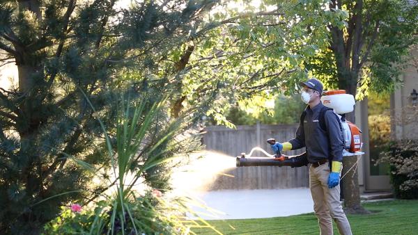Hawx Pest Control