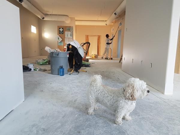 Blue Ridge Restoration and Construction