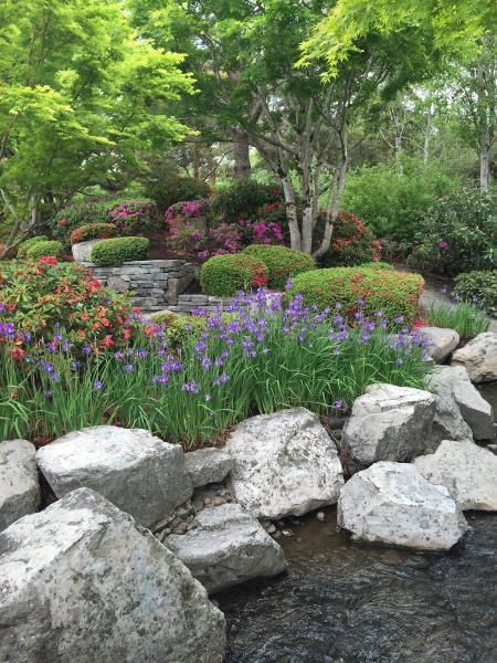 Redbud Landscaping