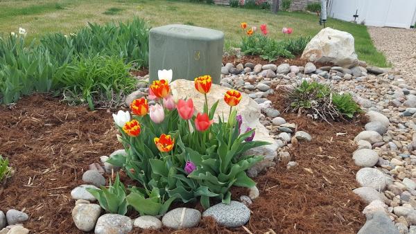 CLC Landscape & Irrigation