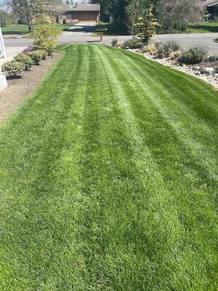 Madrid Lawn Service LLC