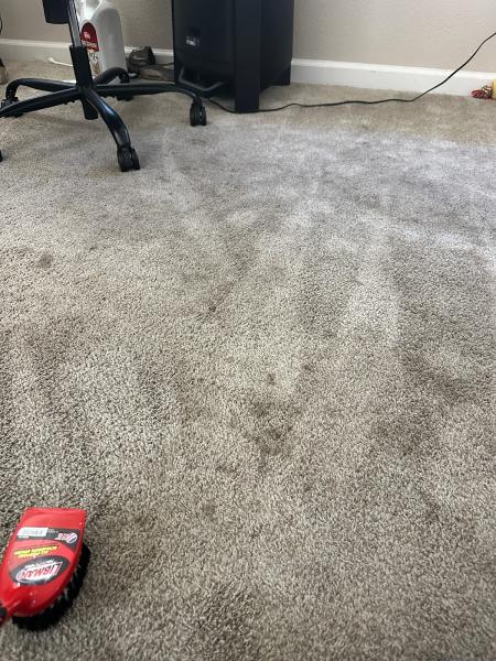 Queen Carpet Cleaning