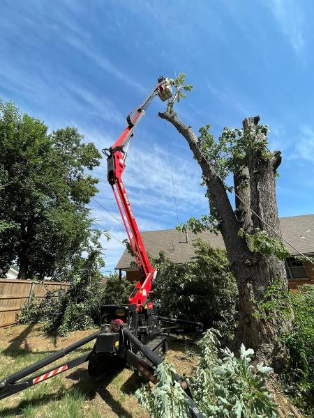 Vision Tree Service