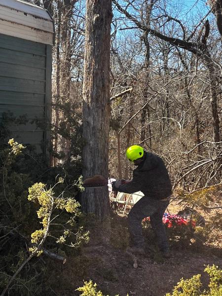 Vision Tree Service