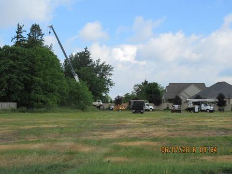 W.F. Tree Care