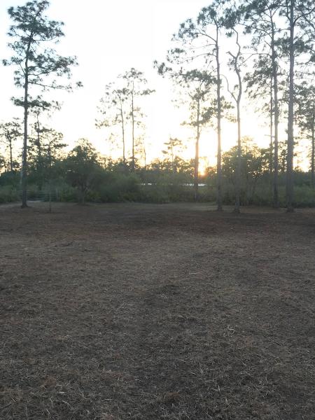 Dirt Movers