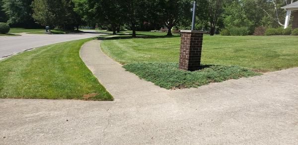 Lawncare by Cutters