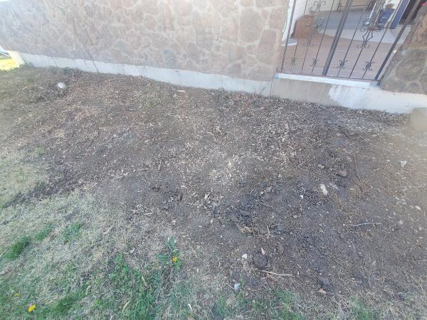 Level Ground Stump Removal