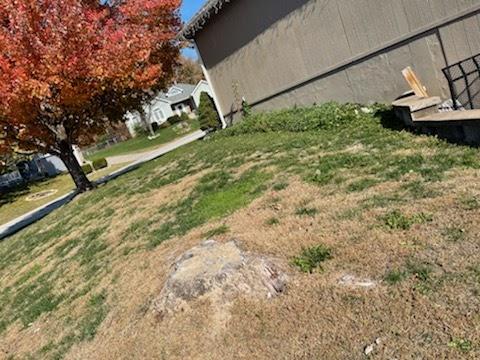 Level Ground Stump Removal