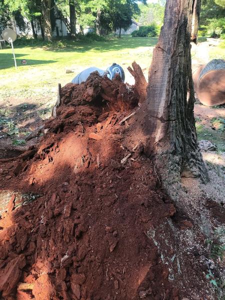 Hecksel Tree Service Inc