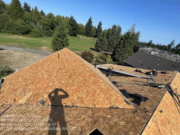 Orlando's Pro Roofing