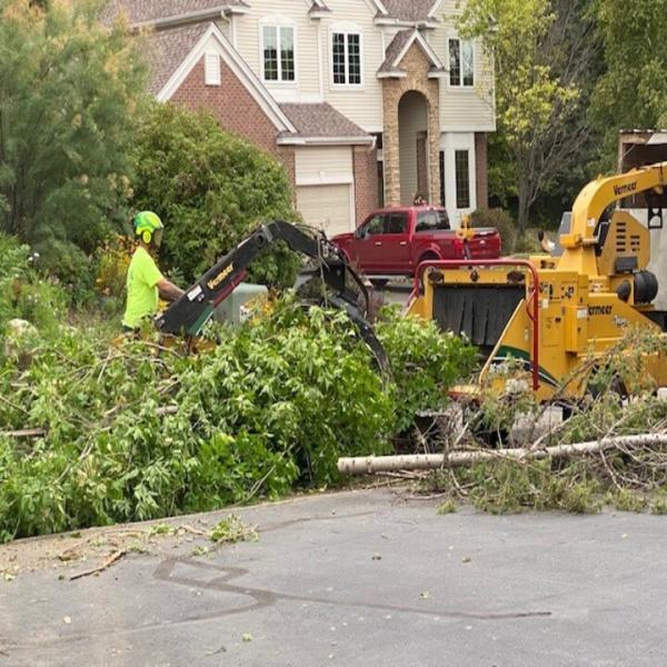 A + A Tree & Landscaping
