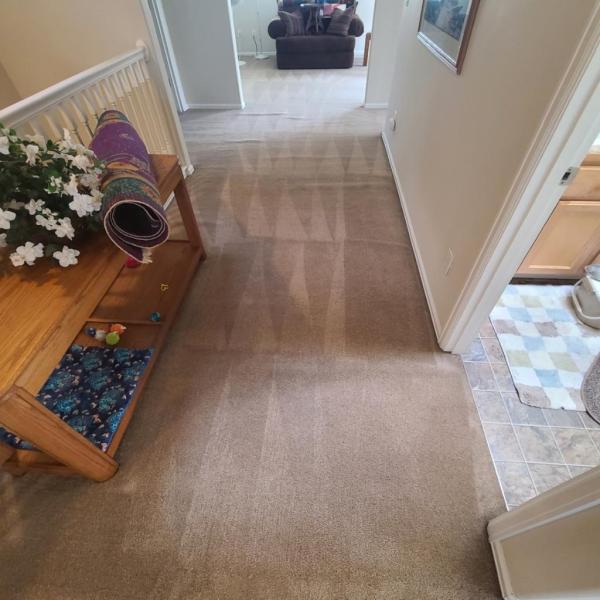 Be Green Carpet Cleaning