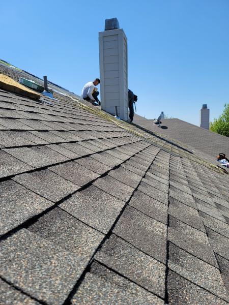 M M Contractors & Renovation LLC