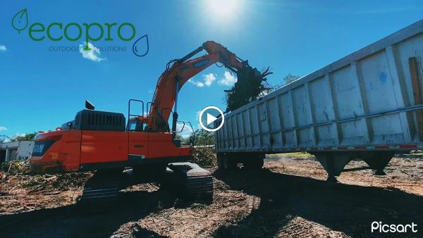 Ecopro Tree Service & Outdoor Solutions