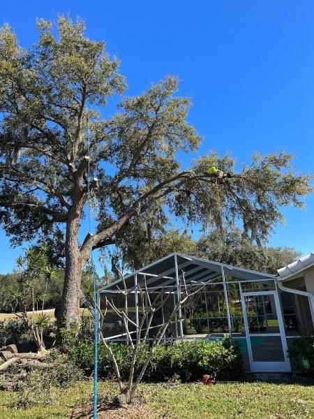 Ecopro Tree Service & Outdoor Solutions
