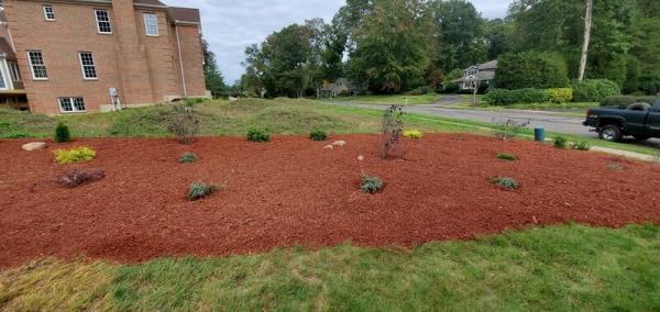 EA Lawn Care & Tree Service