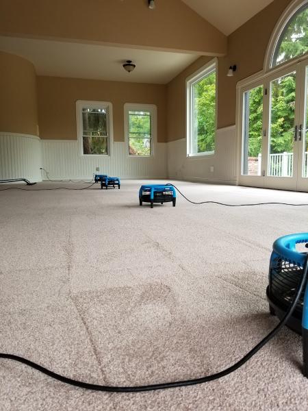 JRP Carpet Care